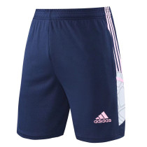 22-23 ARS Blue Grey Training Shorts Pants