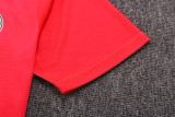 22-23 Palmeiras Red Training Short Suit #D689
