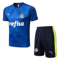 22-23 Palmeiras Blue Training Short Suit #D691