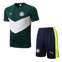 22-23 Palmeiras Green Training Short Suit #D688