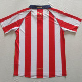 2022 Chivas 25th anniversary Commemorative Edition Fans Soccer Jersey