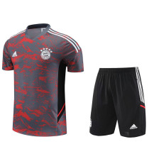 23-24 Bayern Grey Red Training Short Suit