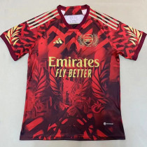 2023 ARS Special Edition Red Training shirts