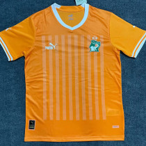 22-23 Ivory coast Home Fans Soccer Jersey (带二星)