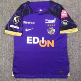 24-25 Sanfrecce Hiroshima Home Fans Soccer Jersey 广岛三箭