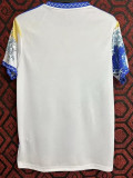 23-24 Japan Yellow & Blue Special Edition Fans Soccer Jersey (冲浪)