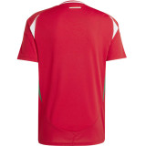 24-25 Hungary Home Fans Soccer Jersey