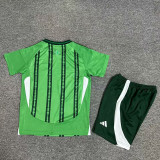 24-25 Northern Ireland Home Kids Soccer Jersey