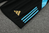 24-25 Argentina Earthy Gold Training Short Suit