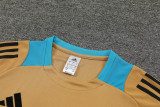 24-25 Argentina Earthy Gold Training Short Suit