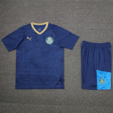 24-25 Palmeiras Royal blue Training Short Suit