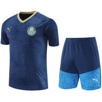 24-25 Palmeiras Royal blue Training Short Suit