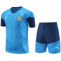 24-25 Palmeiras Lake blue Training Short Suit