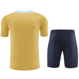 24-25 France Yellow Training Short Suit