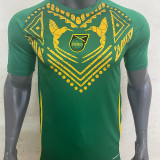 24-25 JAMAICA Green Training shirts