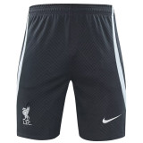 24-25 LIV Grey Training Shorts Pants