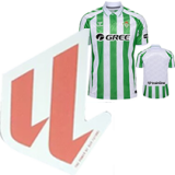 24-25 Real Betis Home Fans Soccer Jersey *新广告