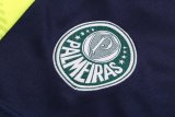 Mens Palmeiras Short Training Suit Green 2022/23