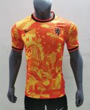 Mens Netherlands Special Edition Jersey Orange 2022