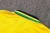 Mens Arsenal Polo Shirt Yellow 2022/23