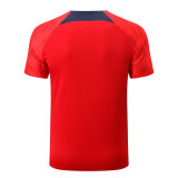 Mens PSG Short Training Jersey Red 2022/23