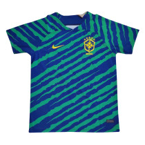 Mens Brazil Short Training Jersey Green 2022