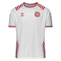 Mens Denmark Special Edition Jersey 2022