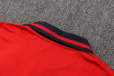 Mens Bayern Munich Polo Shirt Red 2022/23