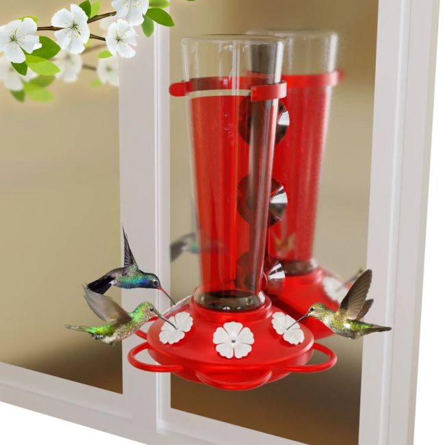 Cylinder Hummingbird Feeder with 3 strong suctions for outdoor