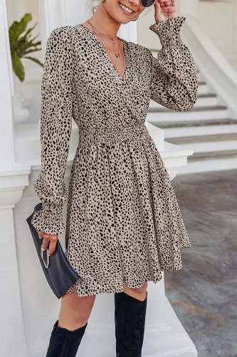 V Neck Long Sleeve Leopard High Waist A-Line Dresses