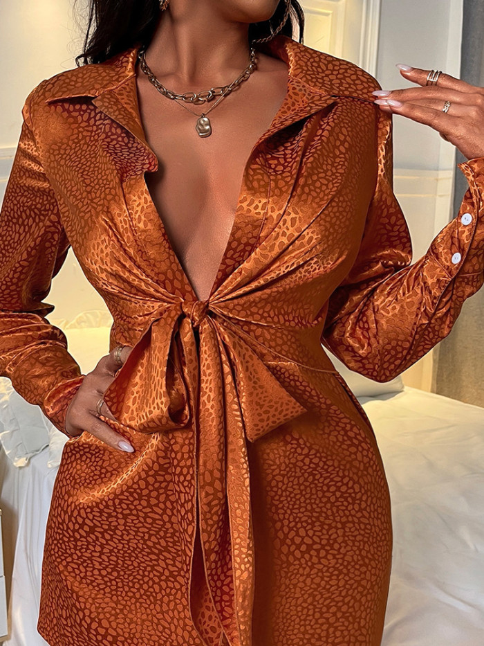 Sexy Long Sleeve Satin Leopard Print Tie Deep V Neck Party Mini Dress