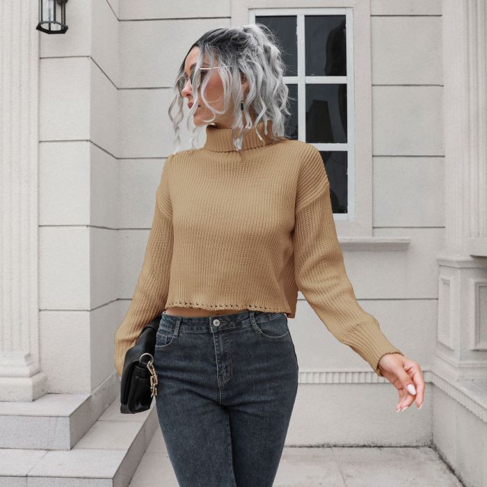 Women Turtleneck Knitted Loose Casual Solid Sweaters