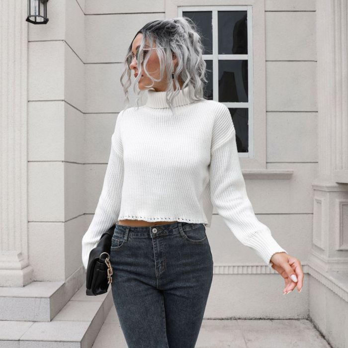 Women Turtleneck Knitted Loose Casual Solid Sweaters