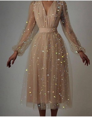 Glitter Mesh V Neck Midi Dress
