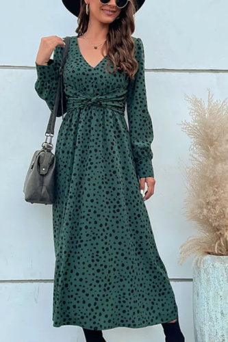 Elegant V-neck Long Sleeve Leopard Print Maxi Dress