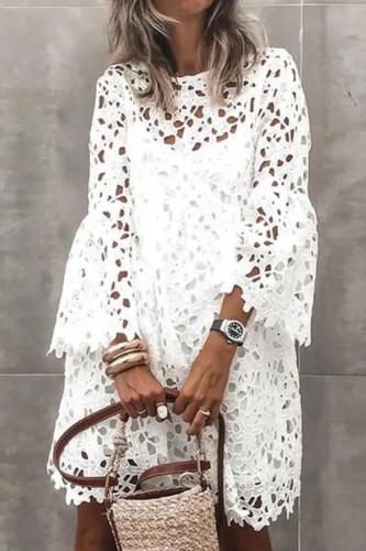 Elegant Lace Long Sleeve Casual Dress