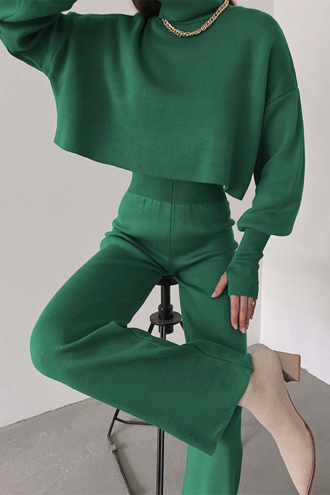 Casual Solid Solid Color Turtleneck Long Sleeve Two Pieces(5 Colors)