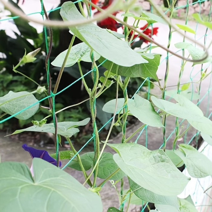 Grow Upright and Strong with Outdoor Heavy-Duty Garden Plant Trellis Netting!