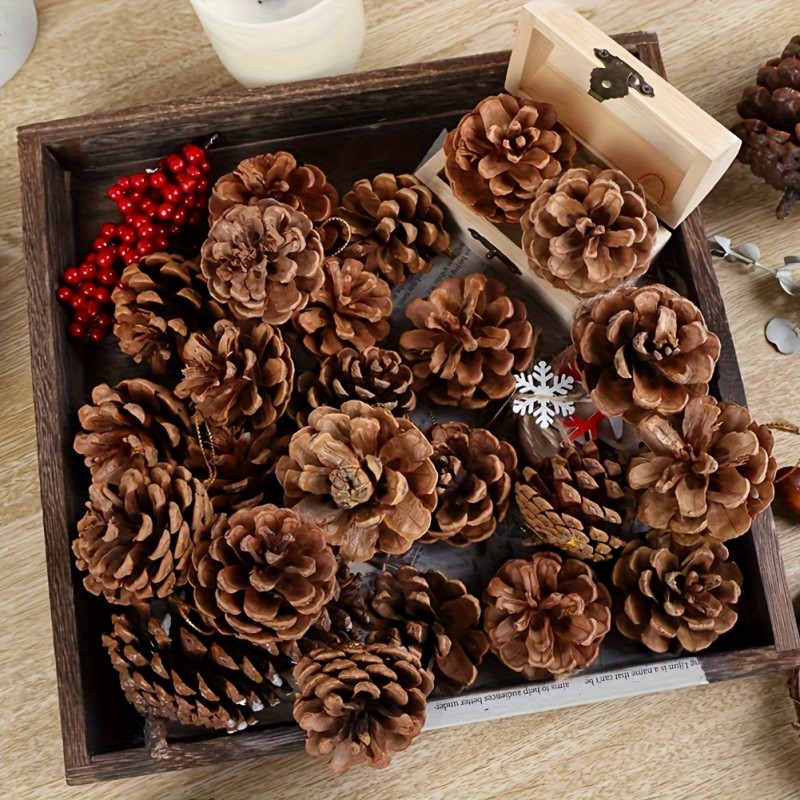 50pcs Pinecone Craft Set - Assorted Varieties for DIY Projects & Home Decor, Ideal for Thanksgiving, Christmas & Weddings