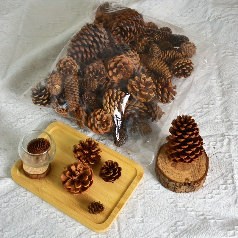 50pcs Pinecone Craft Set - Assorted Varieties for DIY Projects & Home Decor, Ideal for Thanksgiving, Christmas & Weddings