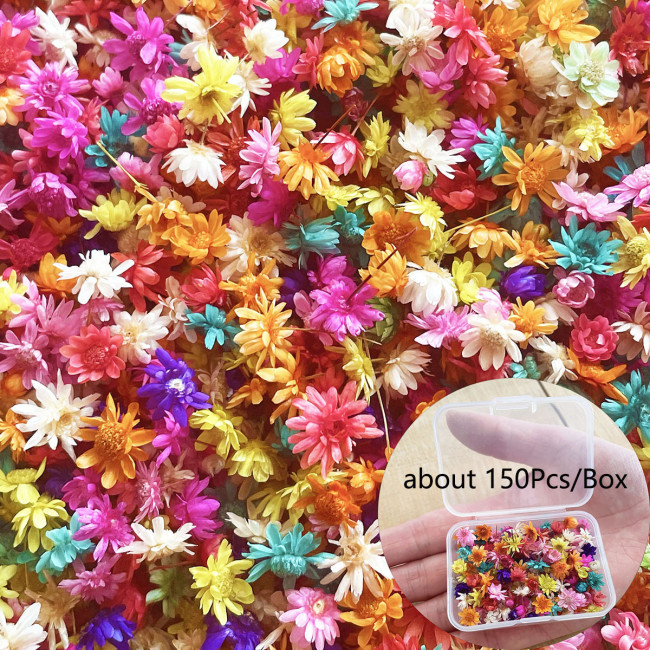 150pcs Star Flower Craft Kit - Natural Fabric Flowers & Leaves for DIY Resin Art, Decorations & All-Season Projects
