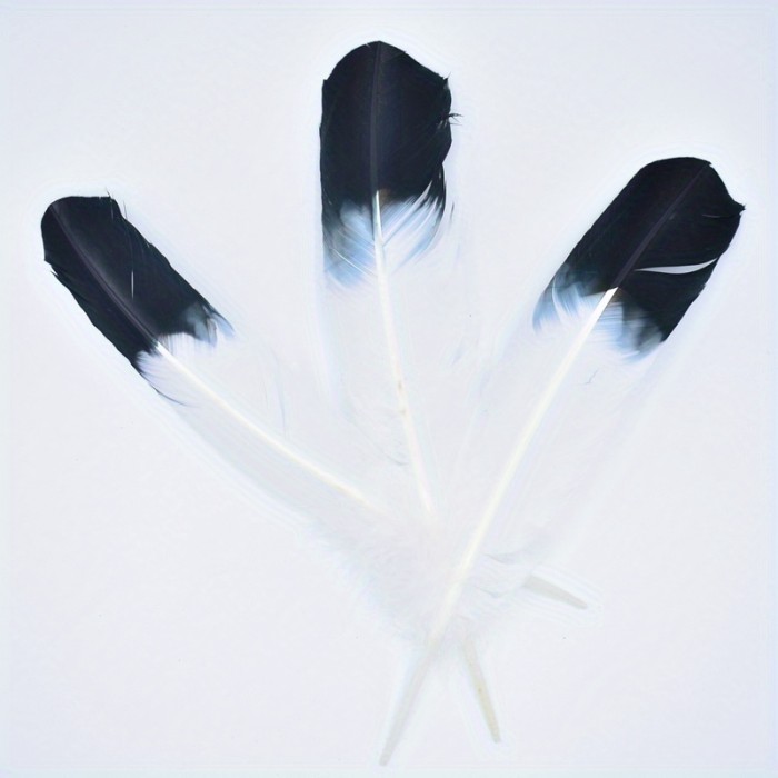 20pcs Artificial Handmade Feathers - Black Tipped White Imitation Quill Feathers for DIY Crafts, Jewelry Making, Wedding Decor, Carnival Costumes (10-12 Inch), Feathers for Crafts, Fashion Accessories, Decorative Plumes, Smooth Texture, Fashion Designers