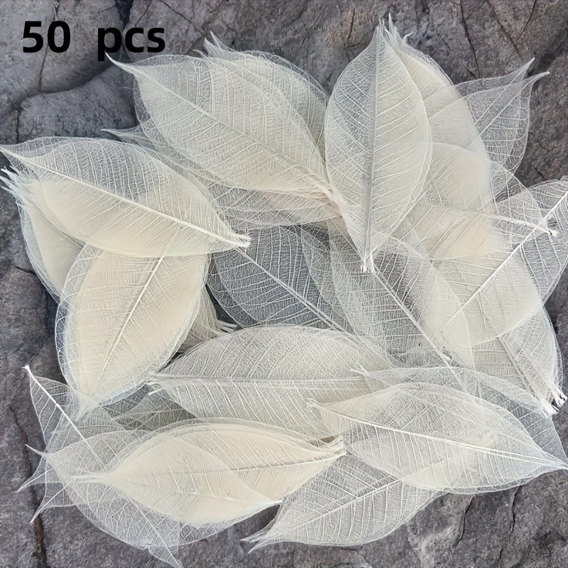 50pcs Leaf Skeleton Set, White Rubber Tree Stems for Scrapbooking Decorations, Wedding Party Tabletop Decor, DIY Craft Kit, Bouquet Accessories, Seasonal Gift