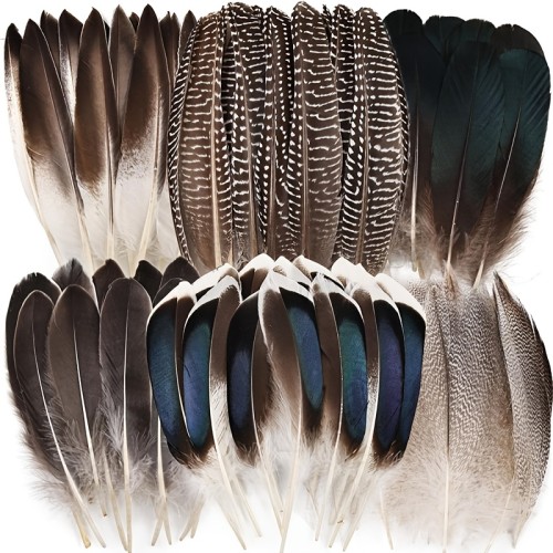 Feather-like Fur Trim 200pcs Dark Brown\u002FBlack\u002FGray\u002FBlue Duck Green Feather-like Fur Trim | DIY Crafts, Anime Cosplay, Wedding Decorations, Halloween Costumes - Bulk Decoration Package, Costume Accessories, Feathered Appearance, Durable Crafting Material, Synthetic Feathers, Party Supplies, Decorative Accents, Lightweight Material, Craft Enthusiasts