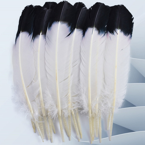 20pcs Artificial Handmade Feathers - Black Tipped White Imitation Quill Feathers for DIY Crafts, Jewelry Making, Wedding Decor, Carnival Costumes (10-12 Inch), Feathers for Crafts, Fashion Accessories, Decorative Plumes, Smooth Texture, Fashion Designers