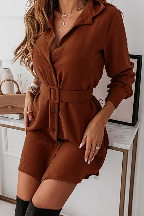 Casual Elegant Solid Buckle With Belt Turndown Collar Shirt Dress Dresses