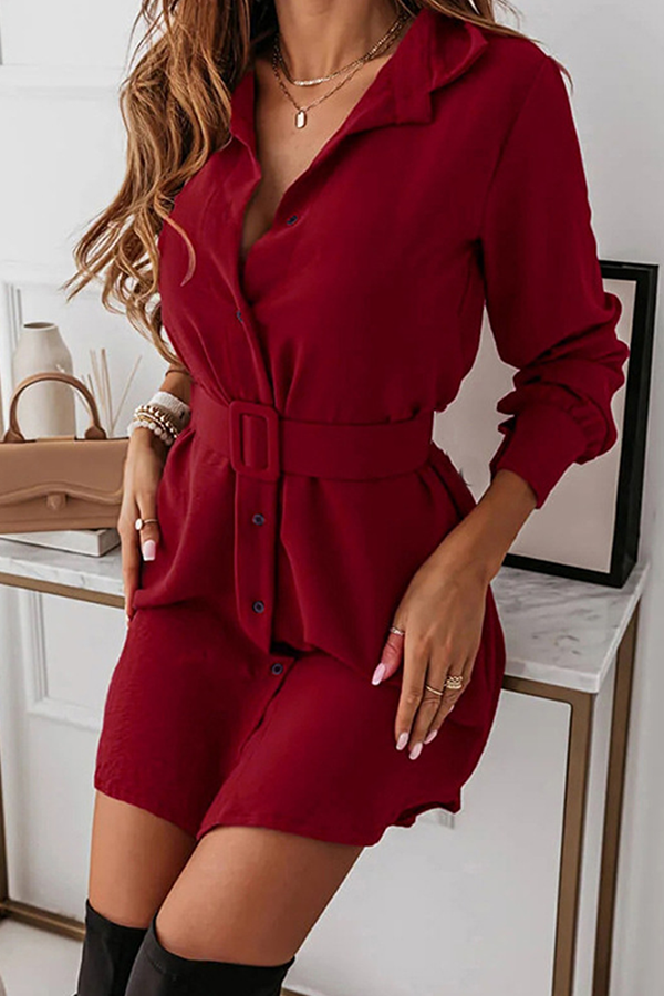 Casual Elegant Solid Buckle With Belt Turndown Collar Shirt Dress Dresses