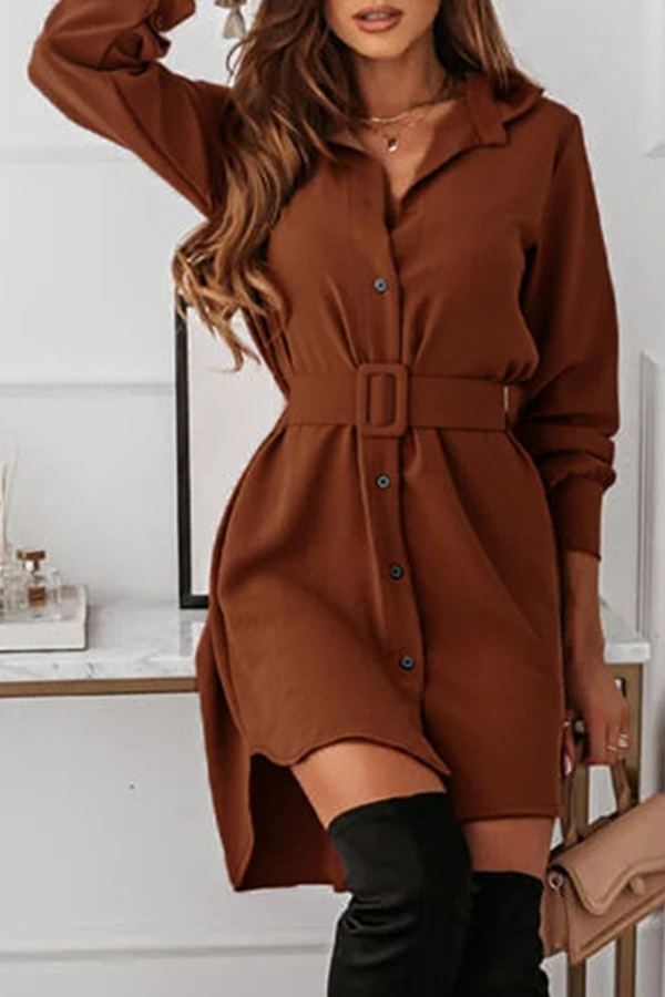 Casual Elegant Solid Buckle With Belt Turndown Collar Shirt Dress Dresses