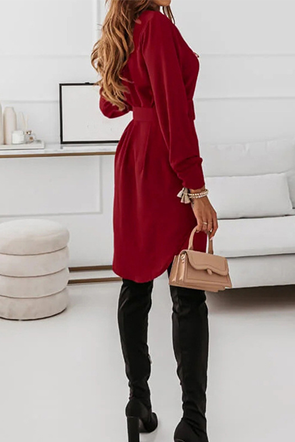Casual Elegant Solid Buckle With Belt Turndown Collar Shirt Dress Dresses