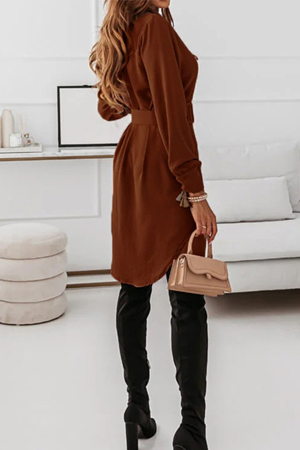 Casual Elegant Solid Buckle With Belt Turndown Collar Shirt Dress Dresses